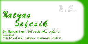 matyas sefcsik business card